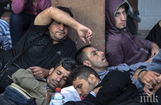 Мигрантите в Сърбия оцеляват от студа в изоставени къщи 