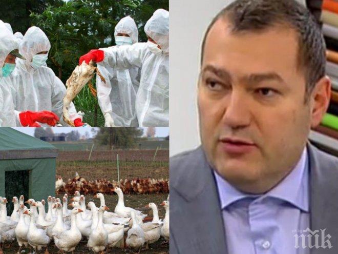 Експерт със стряскащо предупреждение: Птичият щам първо атакува болните от грип 