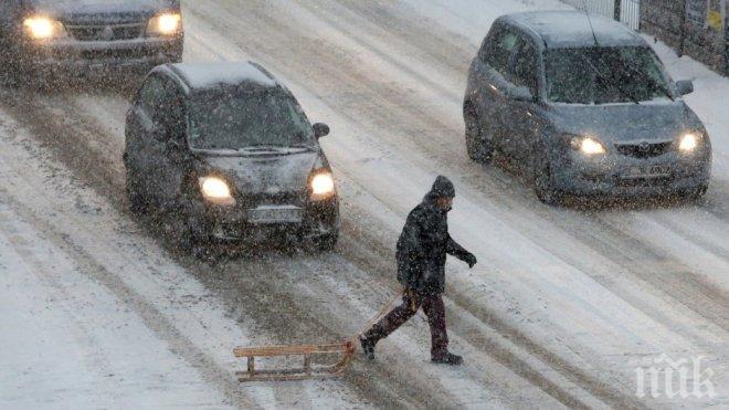 Егон удари Германия