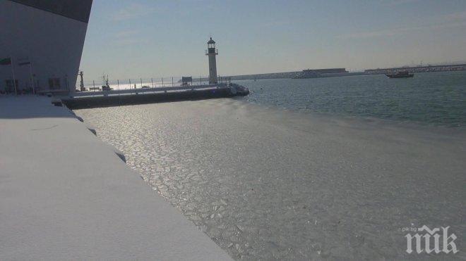 Бяла красота! Вижте как лед скова морето в Бургас (СНИМКИ)