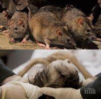 ЖЕСТОКА ДРАМА В КОТЕЛ! След три дни търсене полицията откри умряла от студ и нахапана от плъхове старица