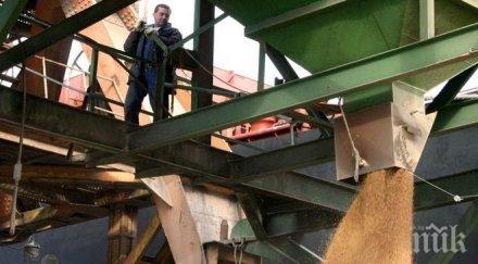 тотален застой виелиците спряха зърнения пазар