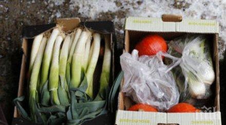оставаме без салата зеленчуковата реколта унищожена цените зарзавата хвърчат