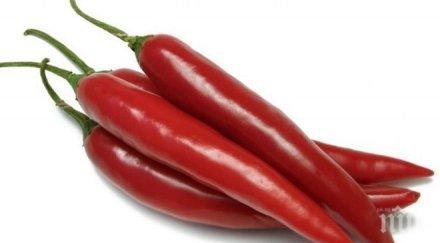 доказаха червени люти чушки дълго