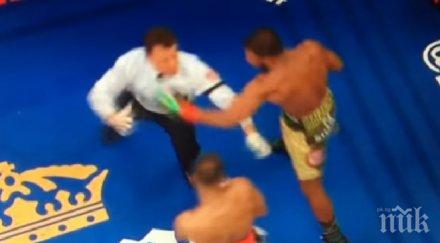 вижда всеки ден боксьор посегна удари съперника нокаутира съдията