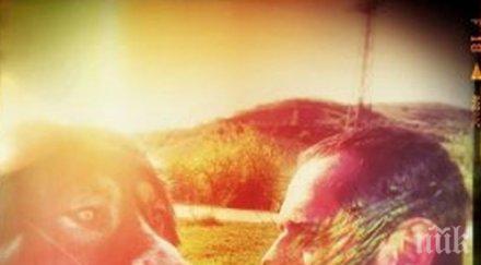 звезда вип брадър чака бебе майката николета снимка