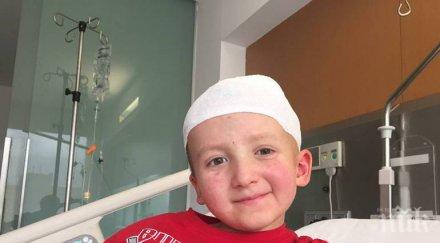 зов помощ семейство търси 000 лечение сина