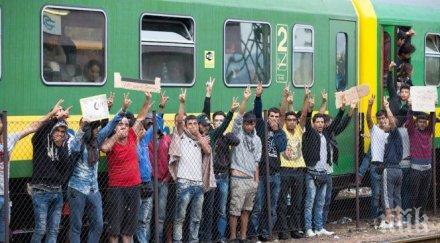 кетъринг мигрантите 523 лева ден болните даваме 220 лева