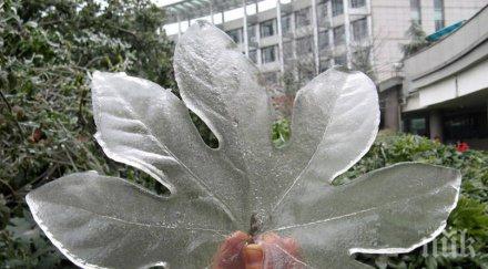 уникални ледени образувания карат повече влюбим зимния сезон