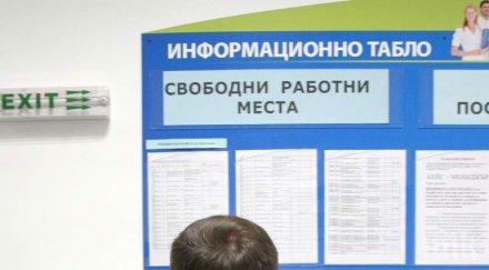 младоците отказват работа 1000 лева заплата