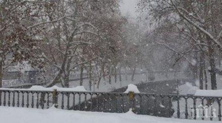 шокираща находка гърция откриха мъртъв мигрант наполовина заровен снега