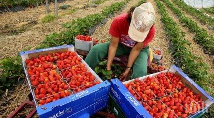 заради ниските заплати обезлюдяването българия продължава