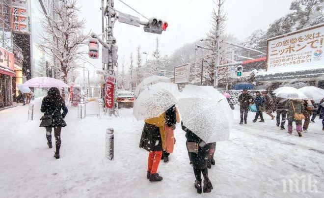 Студът взе три жертви в Япония