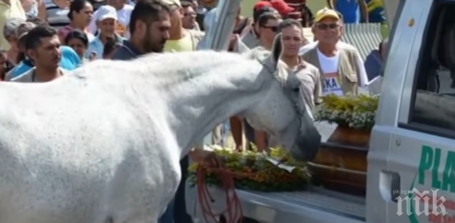 Собственикът внезапно умира, тогава конят му има невероятна реакция на погребението му...