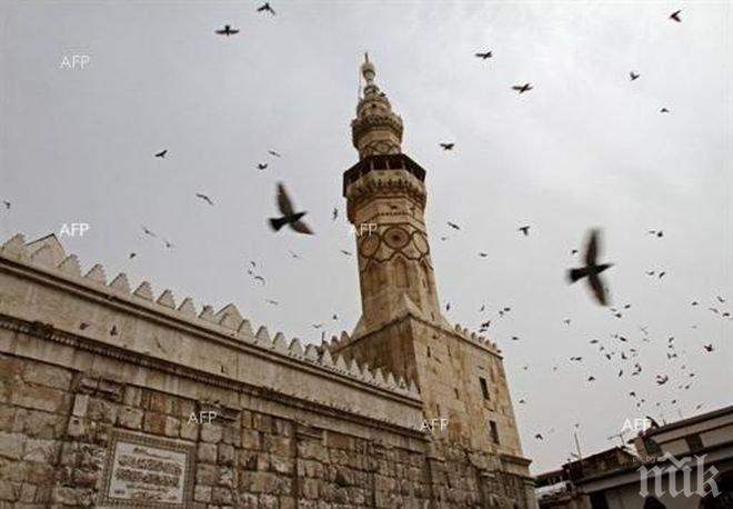 Двудържавното решение е единствената опция за мир в Близкия изток