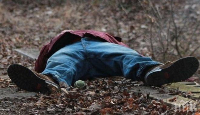 ИЗВЪНРЕДНО! Откриха труп на мъж в „Илиянци”
