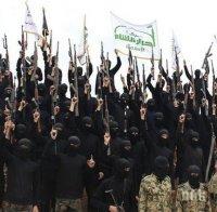 Над 80 джихадисти от 