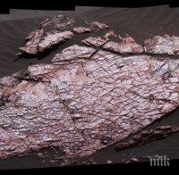 НАСА обяви сензационно: Открихме следи от кал на Марс