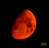 ЗВЕЗДИТЕ ГОВОРЯТ: Срещнете се със стари приятели, сега е точният момент