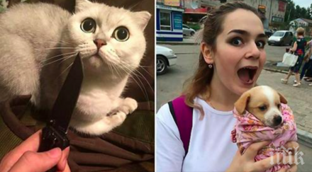 годишно момиче арестувано брутално измъчване убиване беззащитни животни