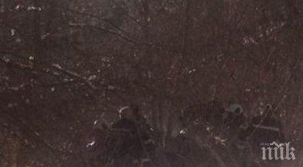 трагедия пожарникари режат ламарини кюстендил извадят затиснат шофьор четирима ранени