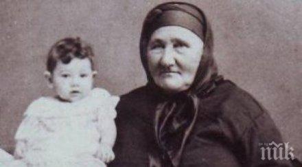 баба тонка давала щерка захарий стоянов