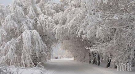 чакат минус 15° слънчево