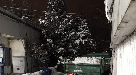 ударно чистят нощта софийските пазари снимка