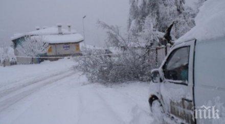 кеф учениците неучебен ден община мадан