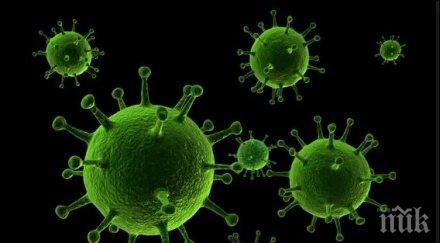 бургазлия откри нов вирус