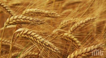 министри обсъждат берлин продоволствената сигурност света