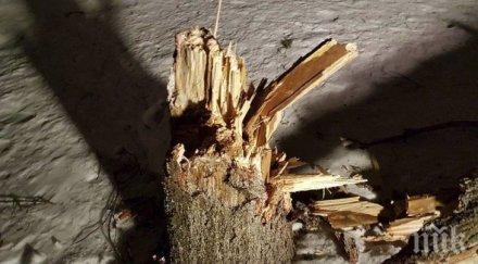 бор стовари къща брезник снимки