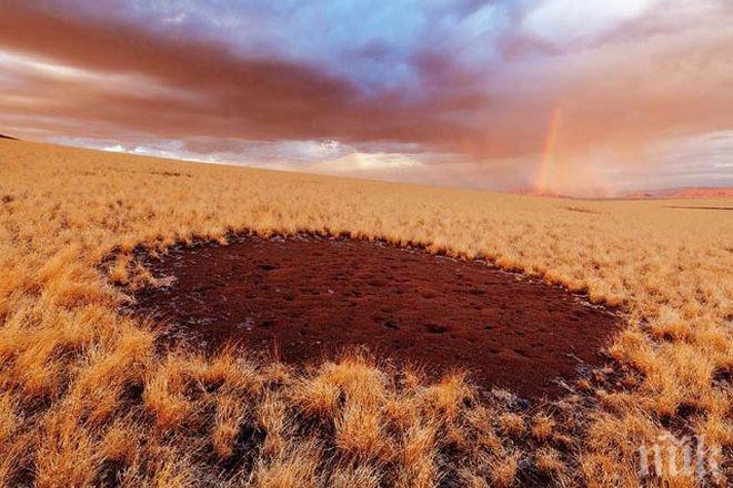 Още нещо за намибийските вълшебни кръгове
