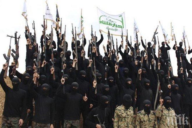 Над 80 джихадисти от Ислямска държава са убити при американските удари в Сирия