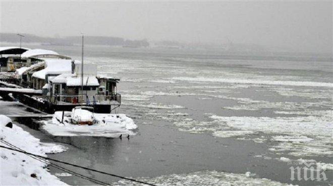 50% е ледоходът по Дунав при Свищов