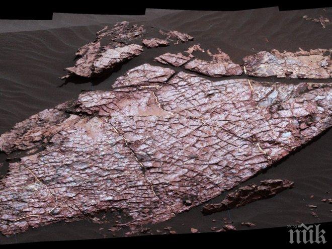 НАСА обяви сензационно: Открихме следи от кал на Марс