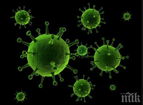 Бургазлия откри нов вирус