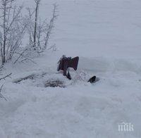 Бяла смърт покоси старица на 50 метра от дома й