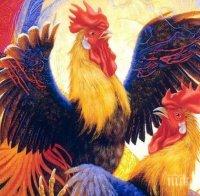 Агресивност и жизненост са ключовите думи през 2017 - годината на петела!