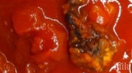 гнус пловдивчанка натъкна гнили домати консерва снимки