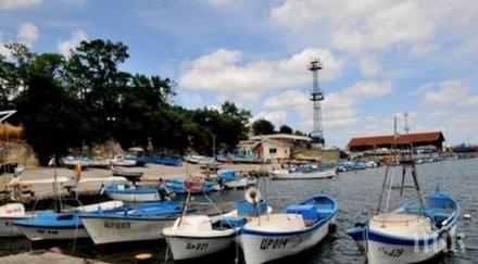 страховито изчезва рибата черно море