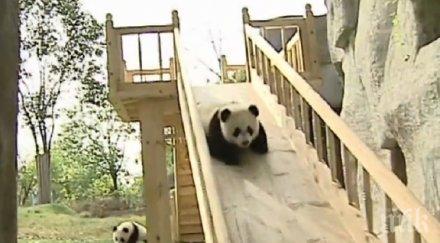 повярвате очите добрата работа света видео