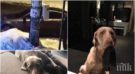 потрес задигнаха колата кучето бивш кадър министерството земеделието плати бона върнат видео