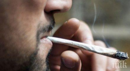 затягат контрола пушенето билки