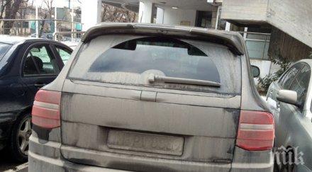 кат глобява кален номер