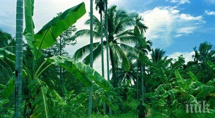 азия търси алтернативни търговски договори оттеглянето сащ ттр