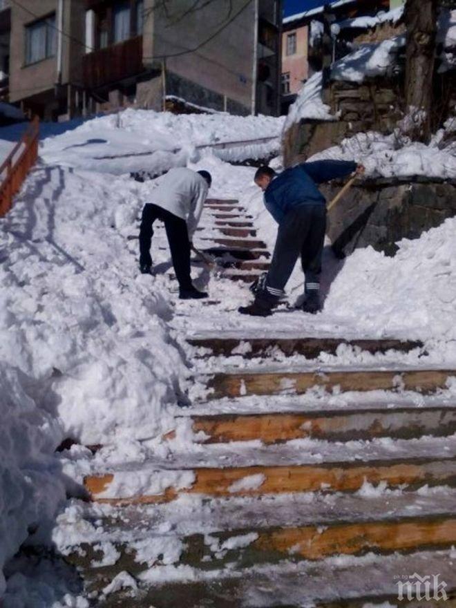 Младежи на ГЕРБ почистиха снега в Смолян