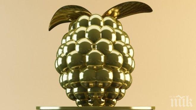 АУТСАЙДЕРИ! Ето кои отнасят Златната малинка