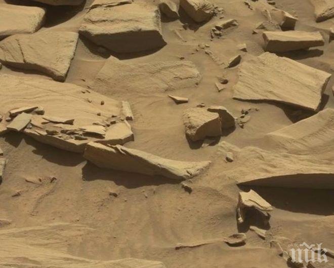 Учени откриха микроби, които могат да оцелеят на Марс
