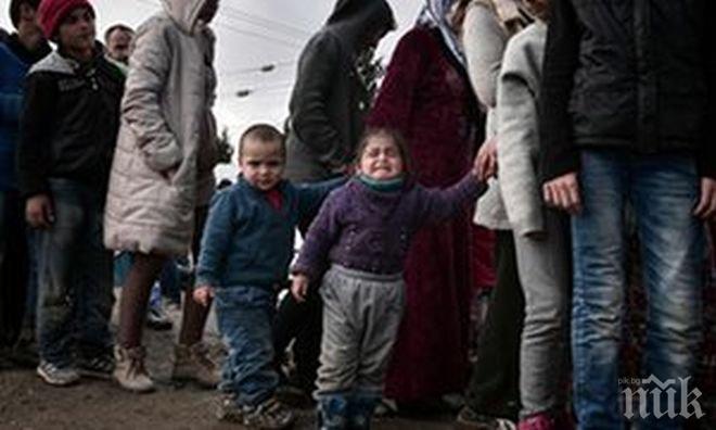 Анадолската агенция: Увеличаването на ислямофобията в Европа е свързано с мигрантския поток